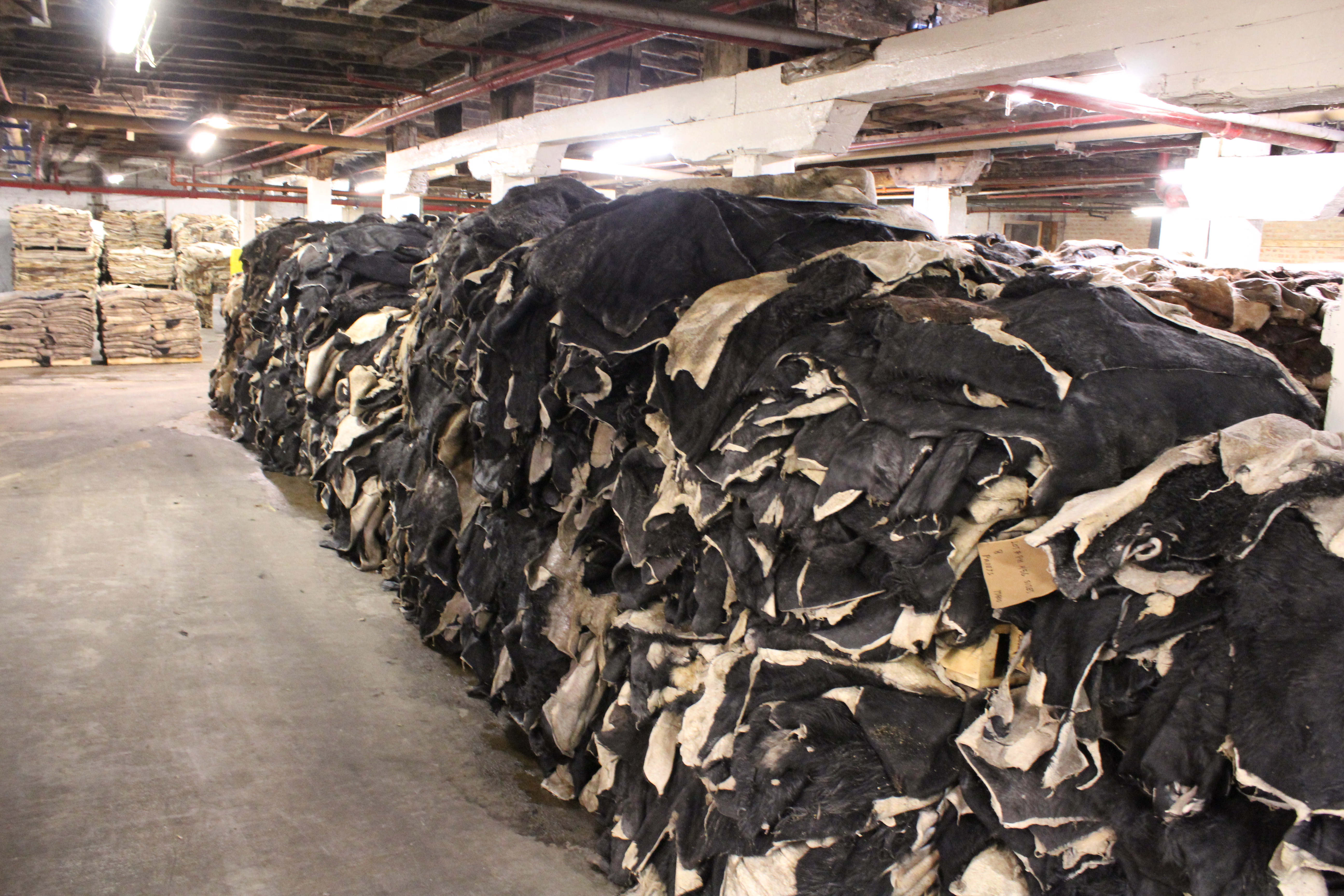 Piles of dark hides not yet de-haired in the factory. (Sarah Julien, 14 East)